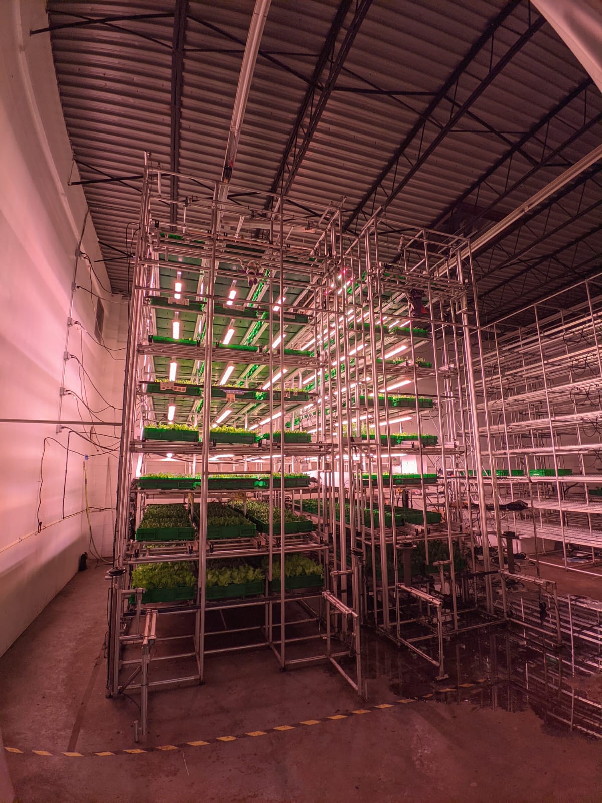 Vertical farming rack · Area2Farms · 2023
